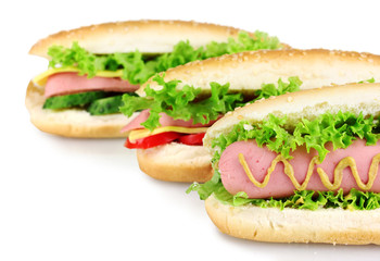 Delicious hot dog and sandwiches isolated on white