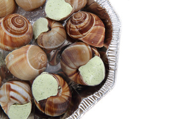 snails as gourmet food