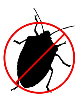 Divieto Cimice - Bugs Ban