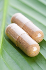 Pills closeup on the leaf