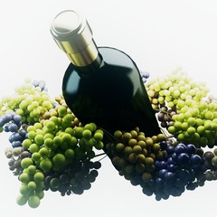 uva vino vendemmia bottiglia grappoli