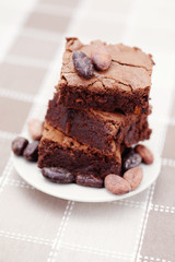 delicious brownie