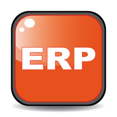 ERP ICON