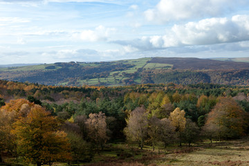 Fototapeta na wymiar Autumn Forest in the Peak District