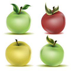 Photo realistic apples set