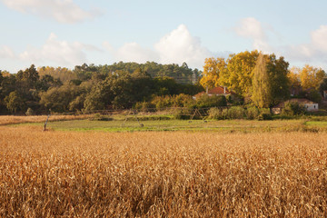 Common irrigation equipment on a plantation