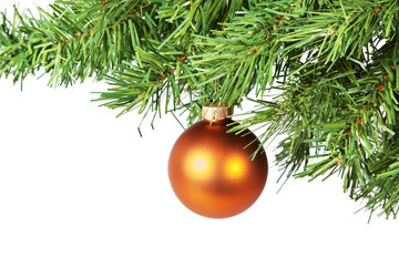 The golden ball on the tree.