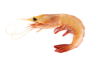Raw prawn.