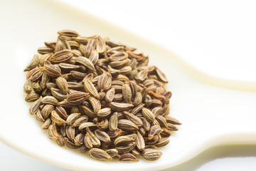 イタリアンパセリ(Italian parsley)のタネ