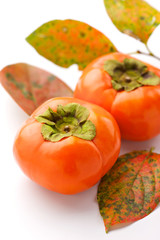 Kaki / Persimmon / Sharon Fruit