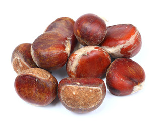 isolated chestnut