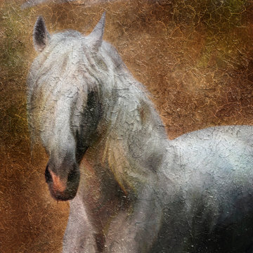 Andalusian horse portrait. Simulation in old painting style