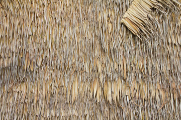 Wall of bulrush thatch-covered for a long time.