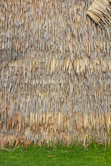 Wall of bulrush thatch-covered for a long time.