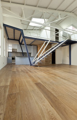 Obraz premium modern designer, apartment with mezzanine