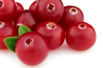 Cranberry