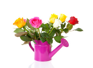 pink watering can with colorful roses