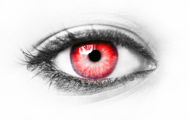 Red eye isolated