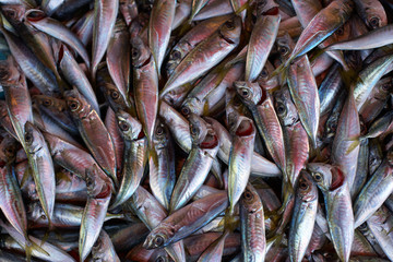 Fischmarkt Istanbul