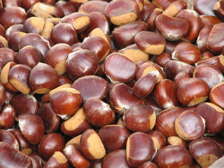 fruits of chestnuts ready to be cooked in the fall