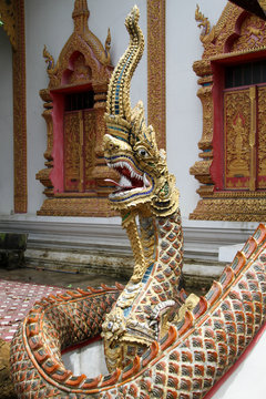 Big snakenear temple