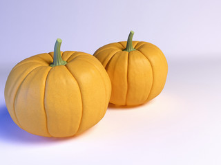 two ripe pumpkins on white