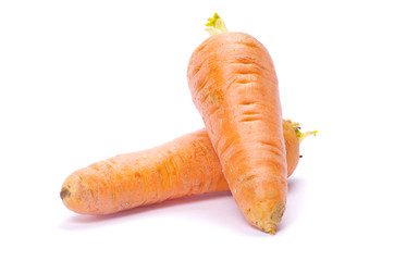 carrots