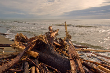 spiaggia invasa dai detriti dopo un'alluvione