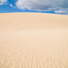 Fuerteventura; Corralejo sand dunes nature park