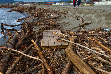 spiaggia invasa dai detriti dopo un'alluvione