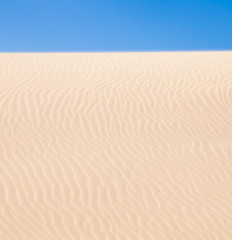 Fuerteventura; Corralejo sand dunes nature park