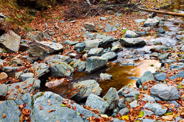 Creek flowing among rocks