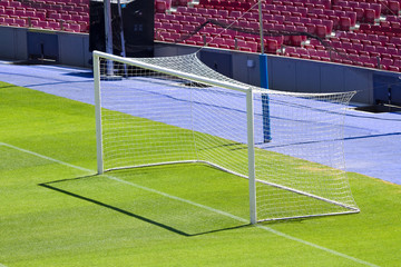 Fototapeta premium Goal