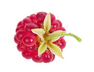 ripe raspberry