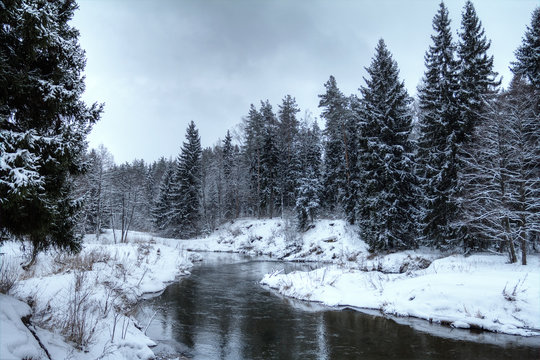 river flowing through forest