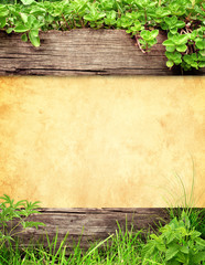 Summer background