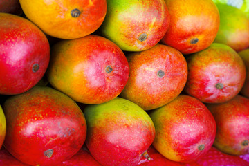 mango fruits