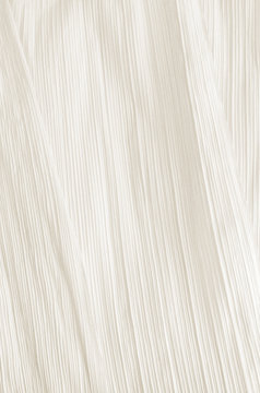 Corn Husk
