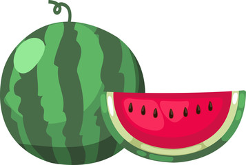 illustration watermelon vector file on White background