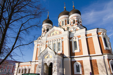 Obraz premium Cathedral of Tallinn