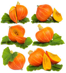 Pumpkin  isolated on white - set