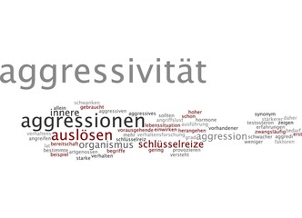 Aggressivität