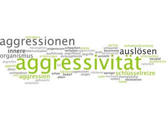 Aggressivität