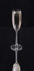 sparkling champagne