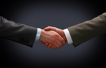Handshake - Hand holding