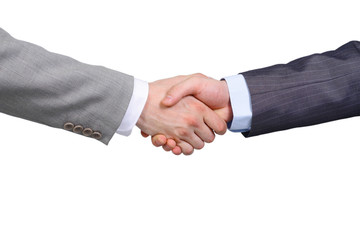 Fototapeta na wymiar Handshake - Hand holding