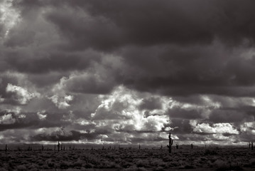 Storm in the Desert