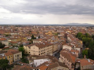 Fototapeta premium Pisa