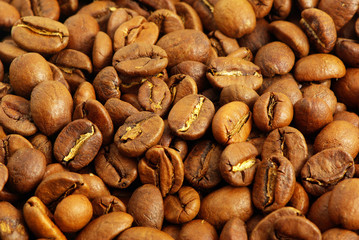 coffe beans