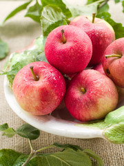 apples
